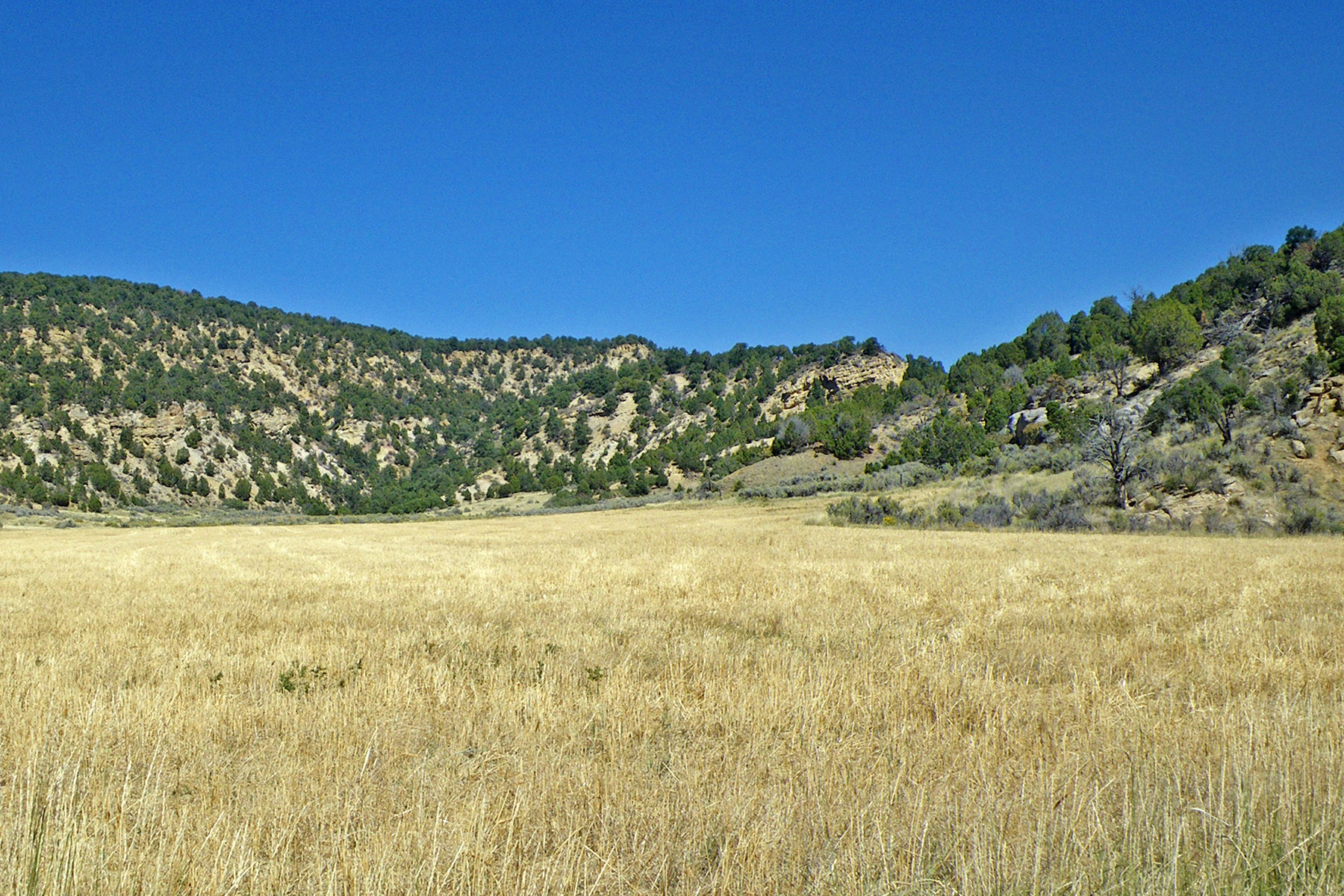 Monument Ranch Sold Colorado Hall and Hall